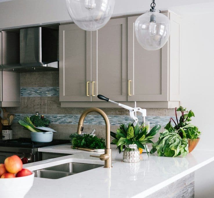 Kitchen sink with brass tap and plants