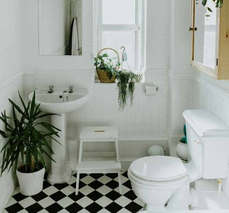 Bright bathroom with plants on the windowsill